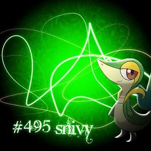 Snivy