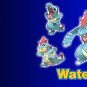 Feraligatr