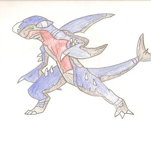dark garchomp