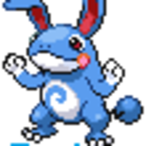 Polirill