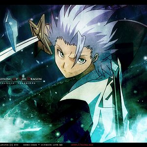 Toshiro Hitsugaya!