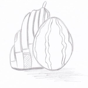 IMG 0001
