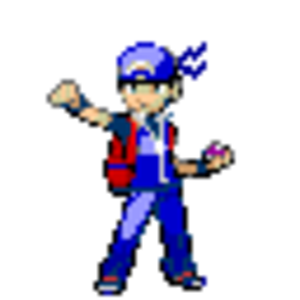 trainer