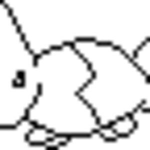 Weird fakemon.