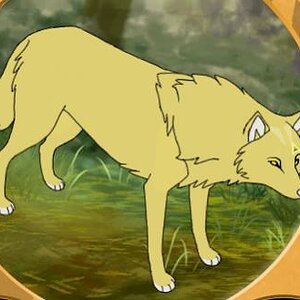 Adria in wolf form