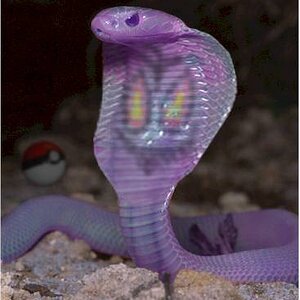 Arbok