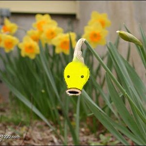 Bellsprout