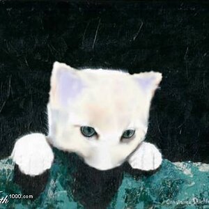 Mew