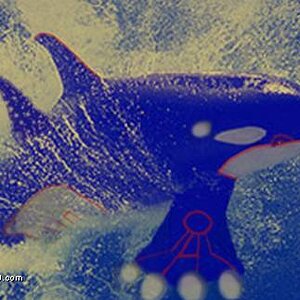 Kyogre