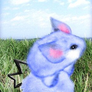 Azurill
