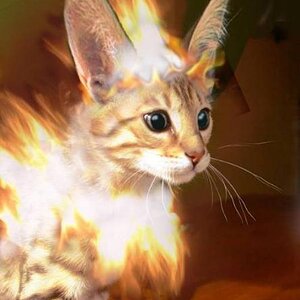 Flareon