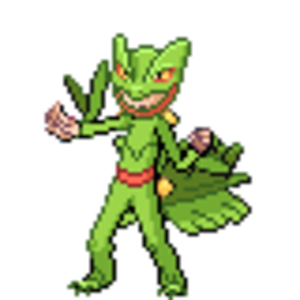 Grass Trainer Boy
