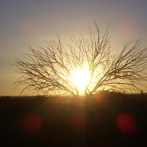 Sunset in the desert
