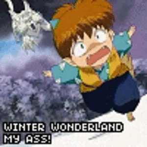 Winter Wonderland your frozen ass, Shippo