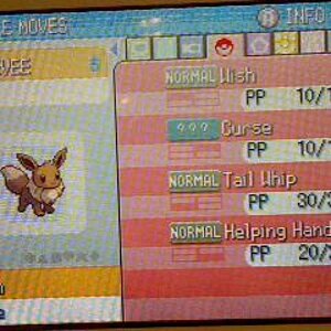 This is my special breed eevee that learned the egg moves from a smeargle, if u want one i will trade them. I have plenty.