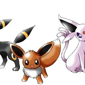 Umbreon, Evee, and Espeon