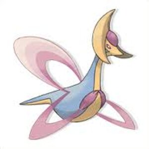 images (22)