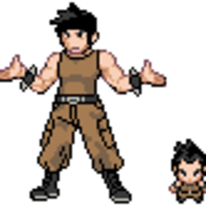 Cameron (Normal Gym Leader), first gym leader you face.