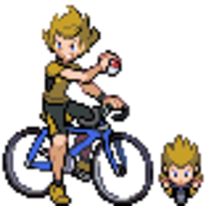 Rodwin (Electric Gym Leader), fifth gym leader you face.