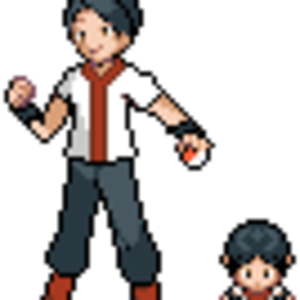 Dane (Fire Gym Leader), sixth gym leader you face.
