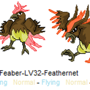 Feathernet
