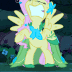 FLUTTERSHY RAGE