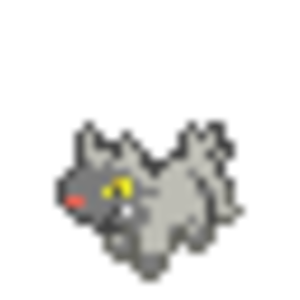 Poochena1