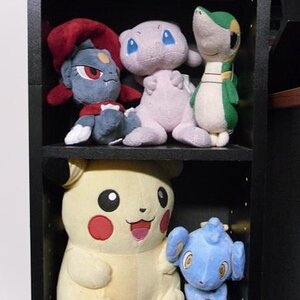 Middle two shelves in my 'plush-case'.