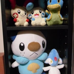 Bottom two shelves in my 'plush-case'.