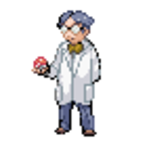 chobin from pokemon xd