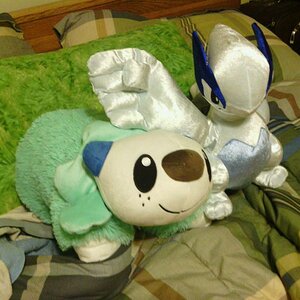 Oshawott pillow pet and Lugia plushie.

P.S: The Oshawott is SOOOOOO FLUFFY AND WARM.
