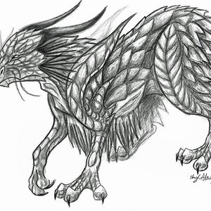 Wise One
Dragon sketch back in 2010. Drew it in class.