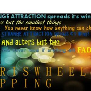 FerrisWheelShipping: Strange Attraction