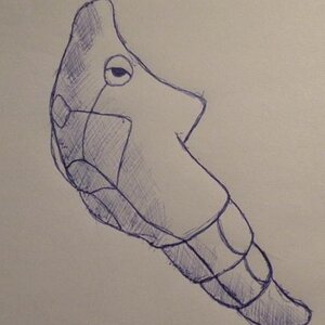 Metapod