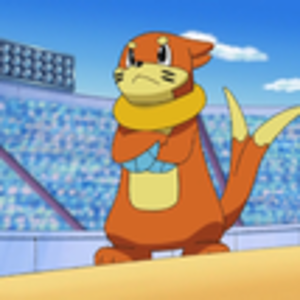Buizel