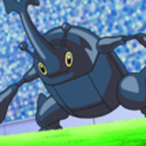 Heracross