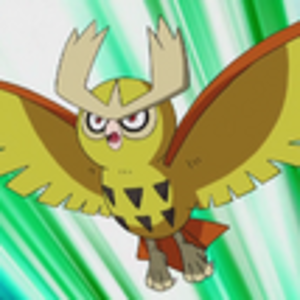 Noctowl