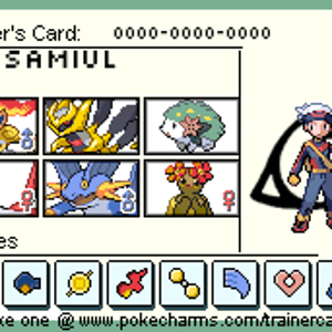 trainer card hoen