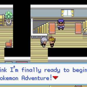 The Adventure Begins