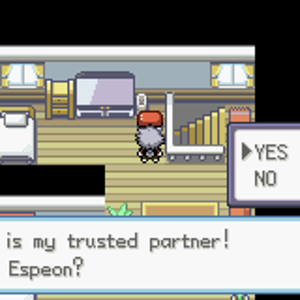 Trusted Partner