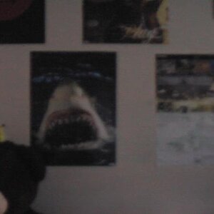 Room: well my curtains are closed to it dark sowwie