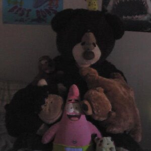My stuff aminal fwiends ;3