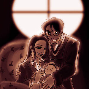 potter family cc