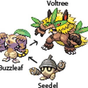 Seedel's evolutionary line. Will you choose the grass type as your starter?