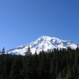 A picture I took on our way to Mt. Rainer, out in WA. One of my favorite mountains. :)