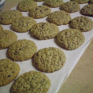 Oatmeal Chocolate Chip Cookies. They were quite delicious. <3