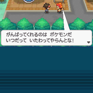 First Alder encounter!