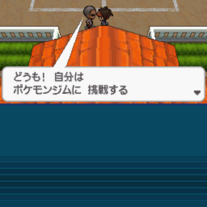 Cheren's and the first gym!