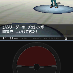 VS Cheren!!