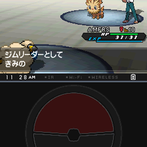 Last Pokemon!!!
